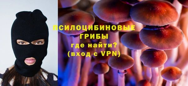 крисы Алексеевка