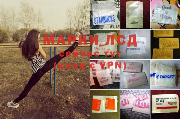мет Алзамай