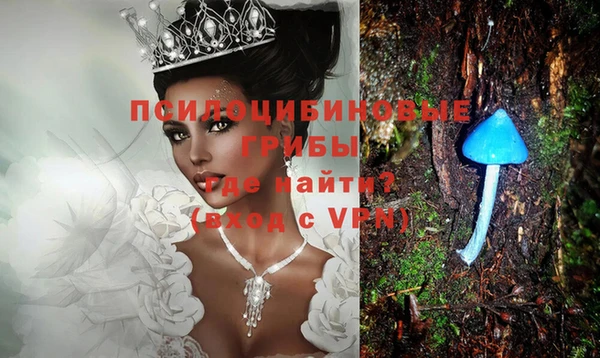 крисы Алексеевка