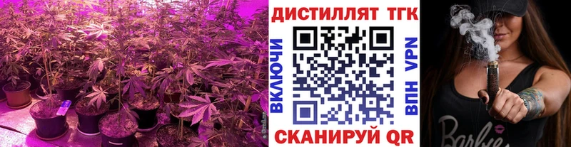 цена наркотик  Котовск  Дистиллят ТГК Wax 