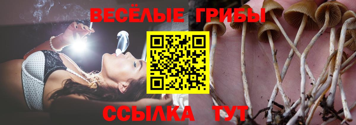 Котовск  Галлюциногенные грибы мицелий  Псилоцибиновые грибы Psilocybine cubensis  Вход с VPN 