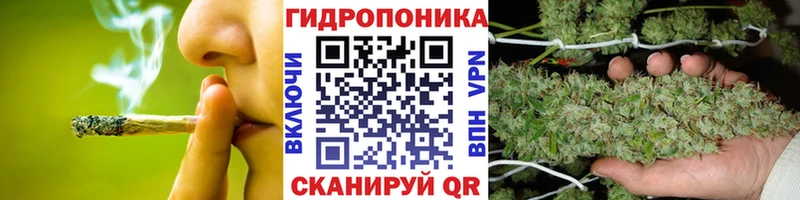 Бошки марихуана семена  купить   Котовск 