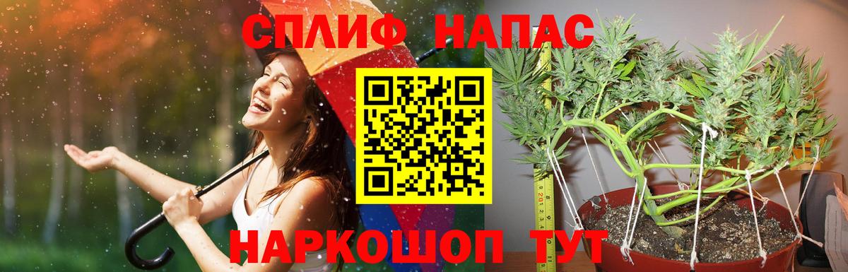 Бошки марихуана VHQ  МАРИХУАНА SATIVA & INDICA  Вход с VPN  Бошки марихуана конопля  Котовск 